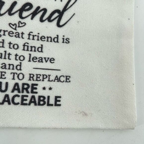 Friendship Quote Canvas Pouch – Gift for Best Friend, You Are Irreplaceable - Picture 7 of 17